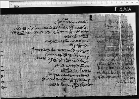 papyrus littéraire ; papyrus documentaire, image 4/4
