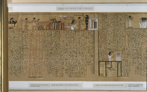 papyrus funéraire, image 8/11