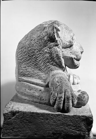 Lion du Sérapéum, image 5/7