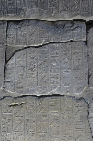 Le mur des annales de Thoutmosis III, image 12/21