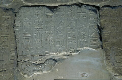 Le mur des annales de Thoutmosis III, image 17/21