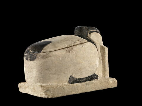 sarcophage d'ibis ; momie d'ibis, image 6/7