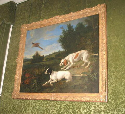 Diane et Blonde, chiennes de la meute de Louis XIV, chassant, image 2/2