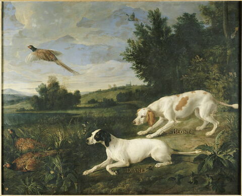 Diane et Blonde, chiennes de la meute de Louis XIV, chassant, image 1/2