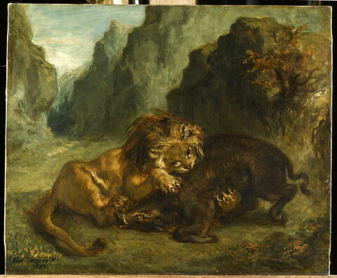 Lion et sanglier, image 1/2