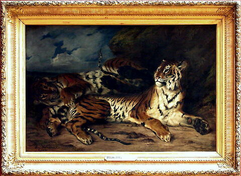 Jeune Tigre jouant avec sa mère, dit aussi Étude de deux tigres, image 3/4