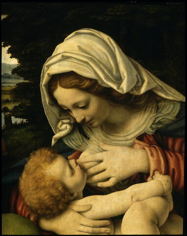 La Vierge allaitant l'Enfant, dit La Vierge au coussin vert, image 9/10