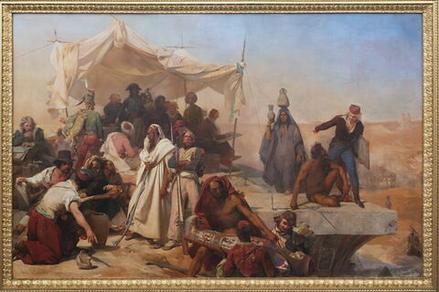 Expédition d'Égypte sous les ordres de Bonaparte., image 1/49