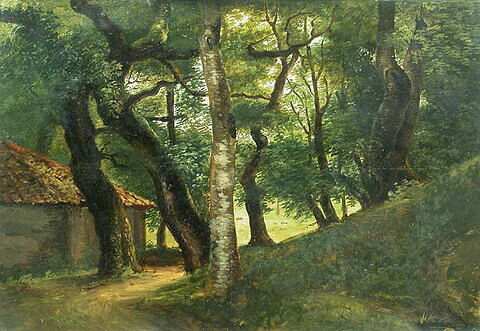 Forêt de la villa Borghèse,  dit aussi  Arbres à la Villa Borghèse, image 2/2