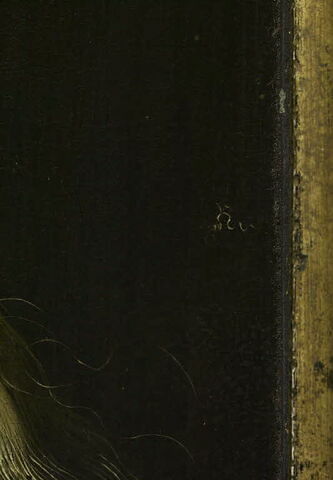 Portrait de Magdalena Luther, fille du réformateur Martin Luther, image 3/5