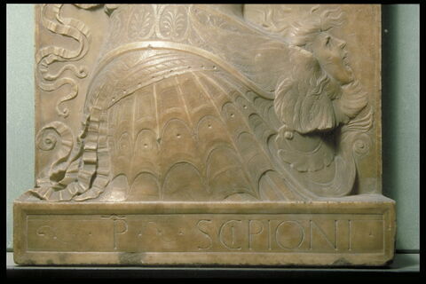 Scipion, image 3/5