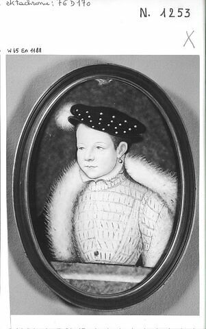 Plaque : Portrait du futur François II, image 4/4