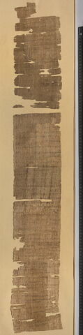 papyrus, image 1/7