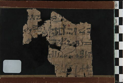 papyrus littéraire, image 2/2