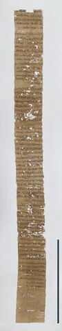 Papyrus Reverseaux I