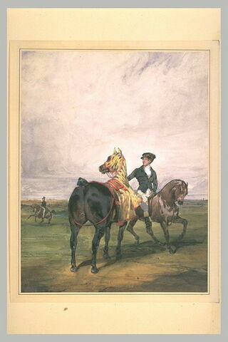 Garçon à cheval emmenant un cheval caparaçonné de bleu, jaune, rouge, image 1/1