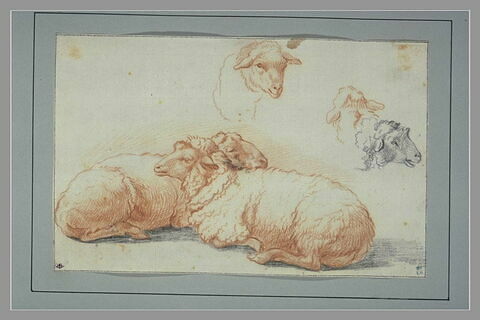 Deux moutons couchés, et trois études de têtes de moutons