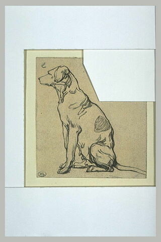 Chienne assise, image 1/1