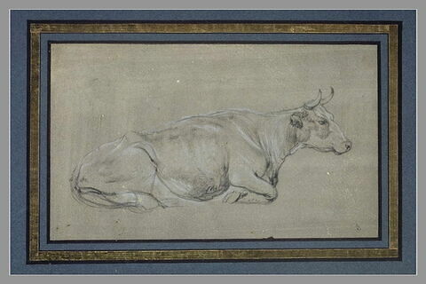 Une vache couchée, de profil vers la droite, image 1/1