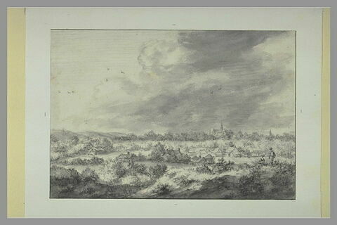 Vue de Haarlem, prise des dunes, du côté sud
