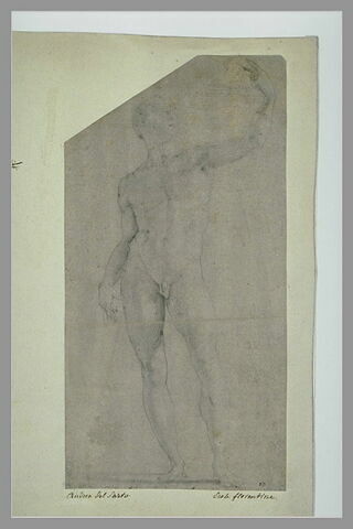 Homme nu, debout, le bras gauche levé, image 2/2