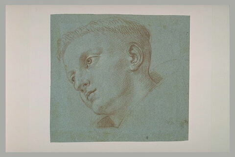 Etude d'une tête : saint Antoine de Padoue