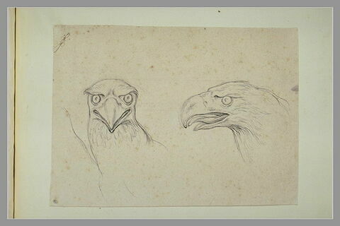 Deux têtes d'aigle, image 2/3
