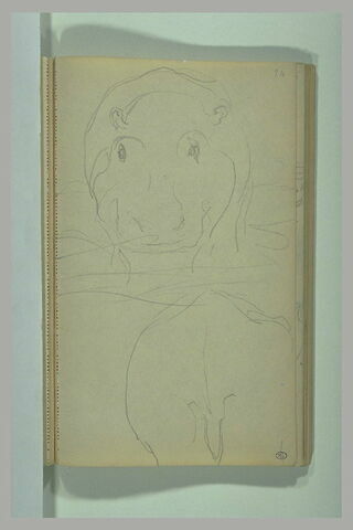 Hippopotame de face, et de dos, image 1/1