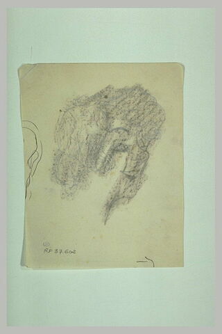 Fragment de chevelure (?), image 1/1