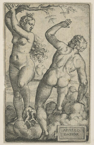 Apollon et Daphné, image 1/1