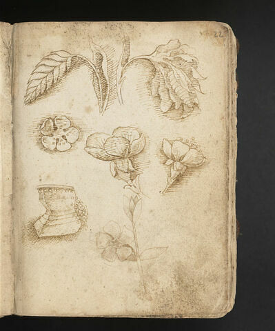Une pièce d'armure ; six motifs végétaux : un épi, une feuille et quatre fleurs