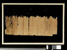 papyrus documentaire, image 2/5