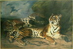 Jeune Tigre jouant avec sa mère, dit aussi Étude de deux tigres, image 2/4