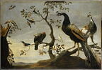 Concert d'oiseaux perchés sur des branches, image 1/2