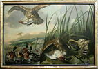 Aigles attaquant des canards, image 2/3