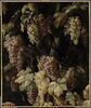 Grappes de raisins autour d'un tronc d'arbre, image 1/2
