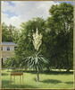 Yucca gloriosa dans le parc de Neuilly, image 2/2