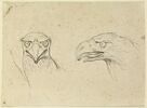 Deux têtes d'aigle, image 3/3
