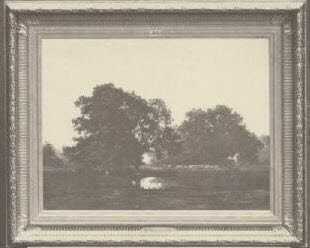 Étang des chênes à Lagrange (Seine-et-Marne)