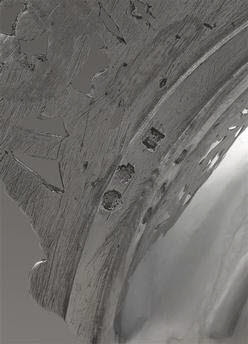 Ecuelle et son plateau, image 3/10