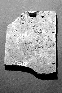 tuile, image 5/6