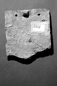 tuile, image 6/6