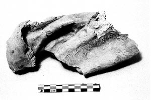 sculpture, fragment, image 3/3
