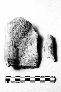 sculpture, fragment, image 4/4