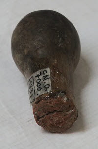 bigoudi, image 2/4