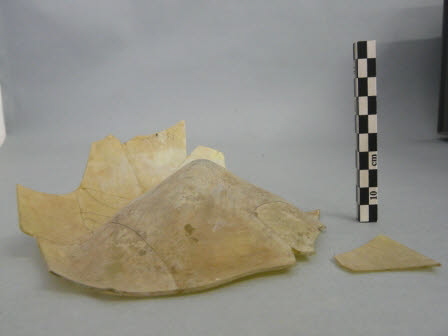fiasque, image 3/3