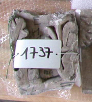 Tirage d’un relief représentant le départ d'une feuille d'acanthe et une palmette, image 1/1