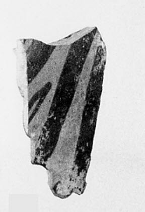 vase ; fragment, image 2/2