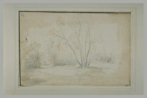 Paysage avec un bouquet d'arbres, au centre, et marecage, image 1/1