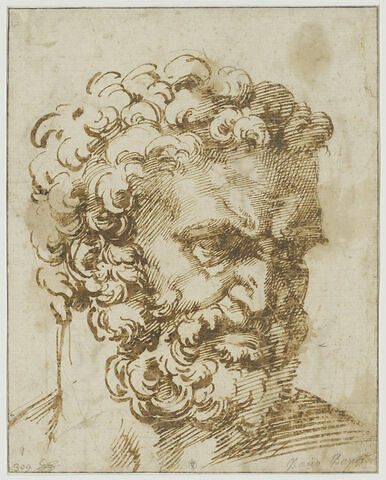 Tête d'homme barbu, vu de trois quarts, tourné vers la droite : Hercule